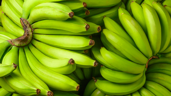 Reporte de exportaciones de banano (contenedores refrigerados) - Trimestre 1 2025
